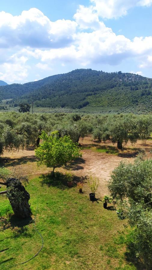 Villa Thomi Σκάλα Ραχωνίου Εξωτερικό φωτογραφία