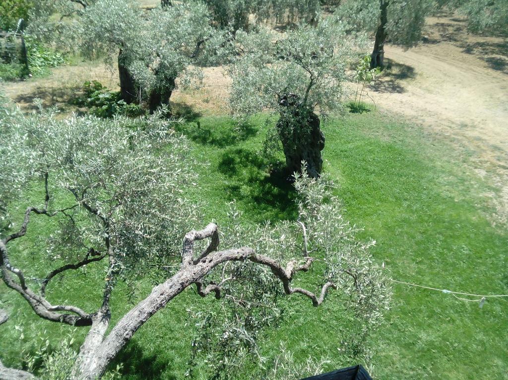 Villa Thomi Σκάλα Ραχωνίου Εξωτερικό φωτογραφία
