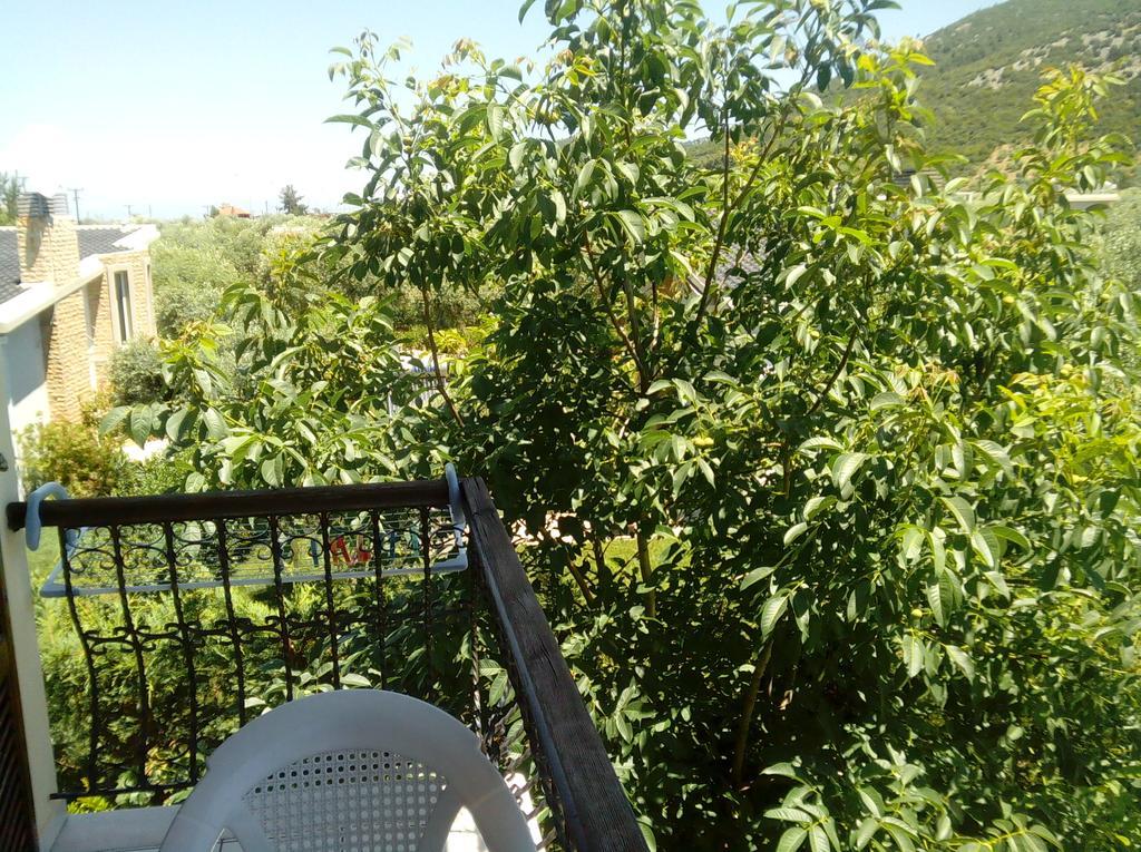 Villa Thomi Σκάλα Ραχωνίου Εξωτερικό φωτογραφία
