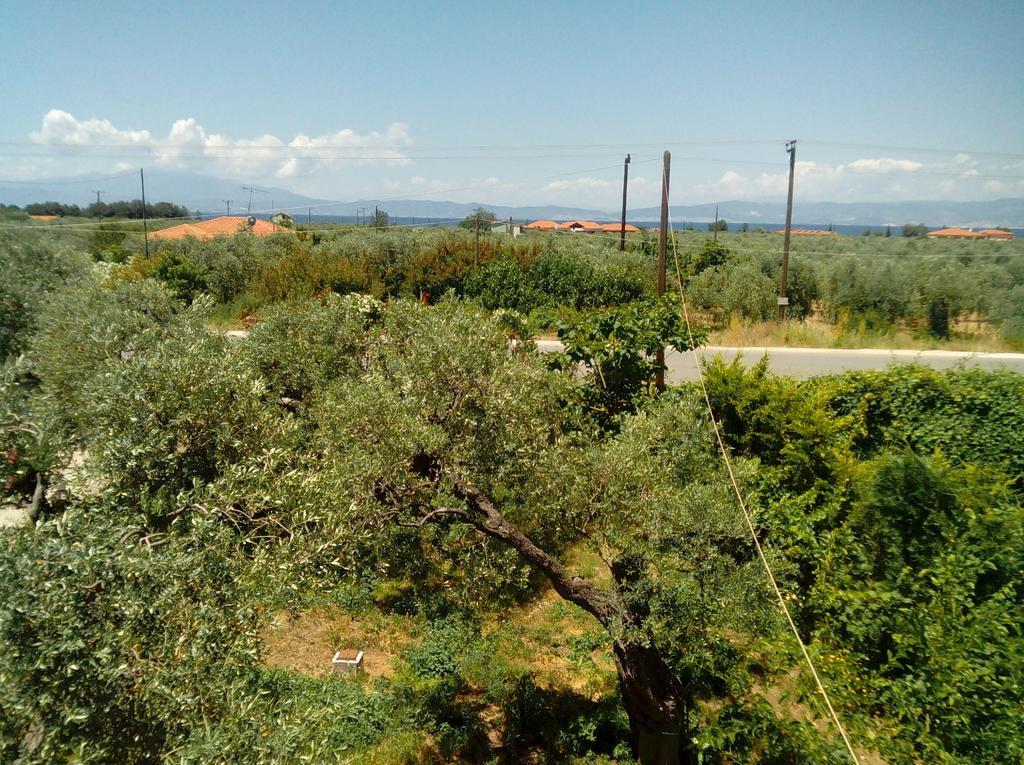 Villa Thomi Σκάλα Ραχωνίου Εξωτερικό φωτογραφία