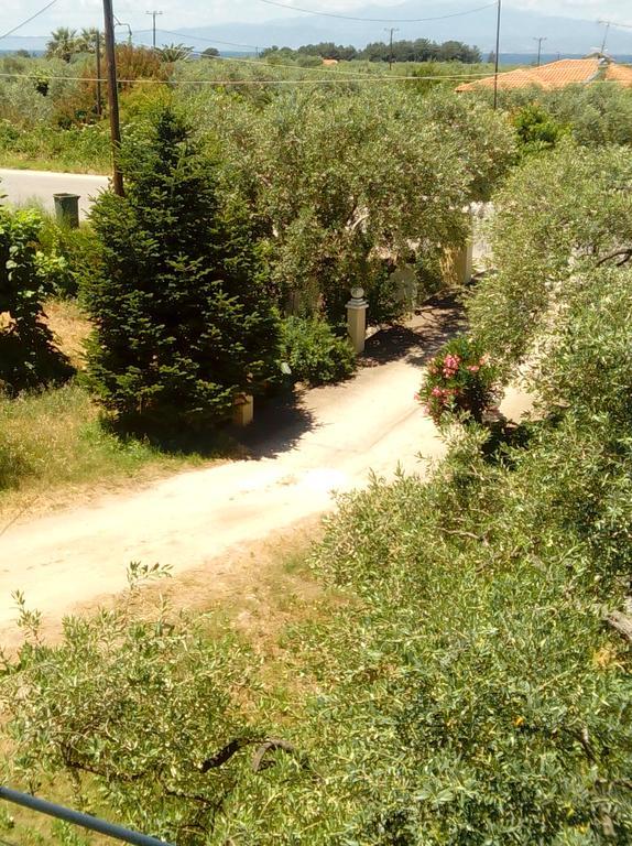 Villa Thomi Σκάλα Ραχωνίου Εξωτερικό φωτογραφία