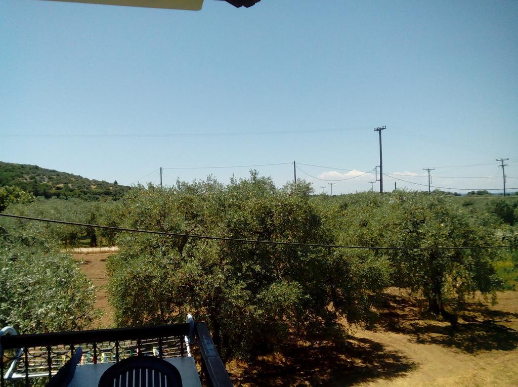 Villa Thomi Σκάλα Ραχωνίου Εξωτερικό φωτογραφία