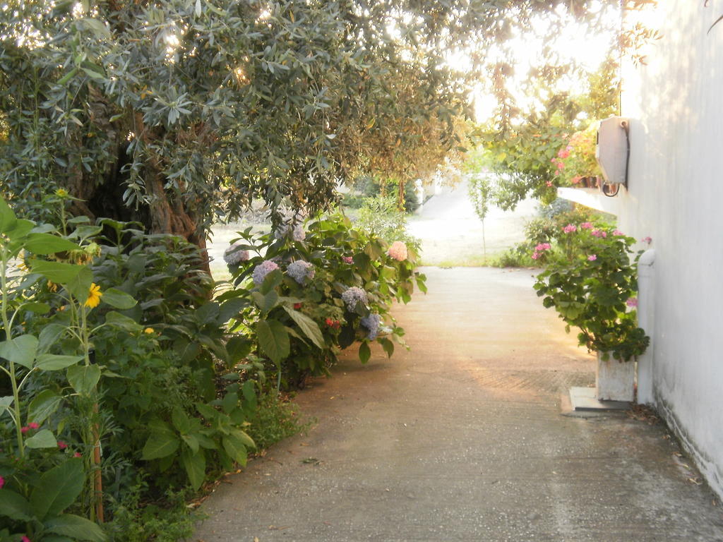 Villa Thomi Σκάλα Ραχωνίου Εξωτερικό φωτογραφία